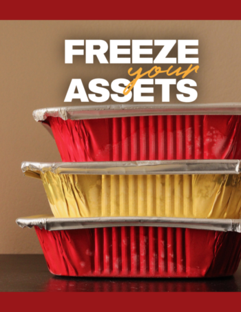 cover image for freeze your assets